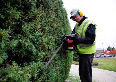 hedge-trimming-2-2000px